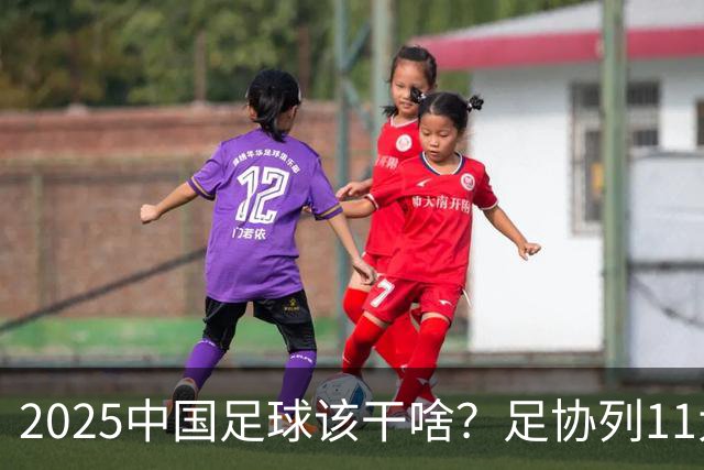 2025中国足球该干啥？足协列11大任务！